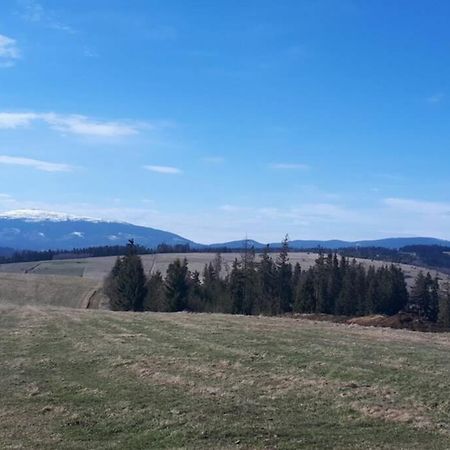 Przytulny Apartamentt Jablonka  Buitenkant foto